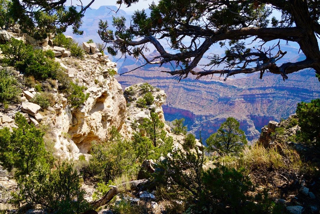 View From the Bridle Trail